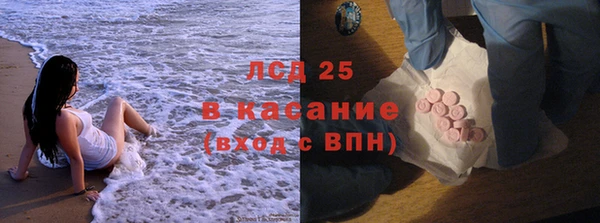 прущие грибы Нея