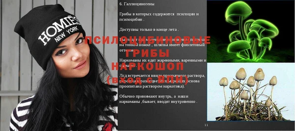 apvp Нефтекумск