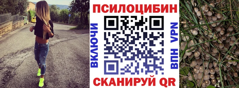 Галлюциногенные грибы мицелий  МЕГА вход  Кирово-Чепецк 