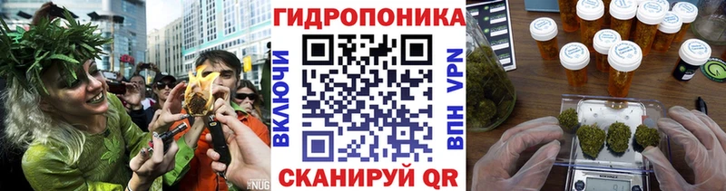 Марихуана OG Kush  дарк нет состав  Кирово-Чепецк 